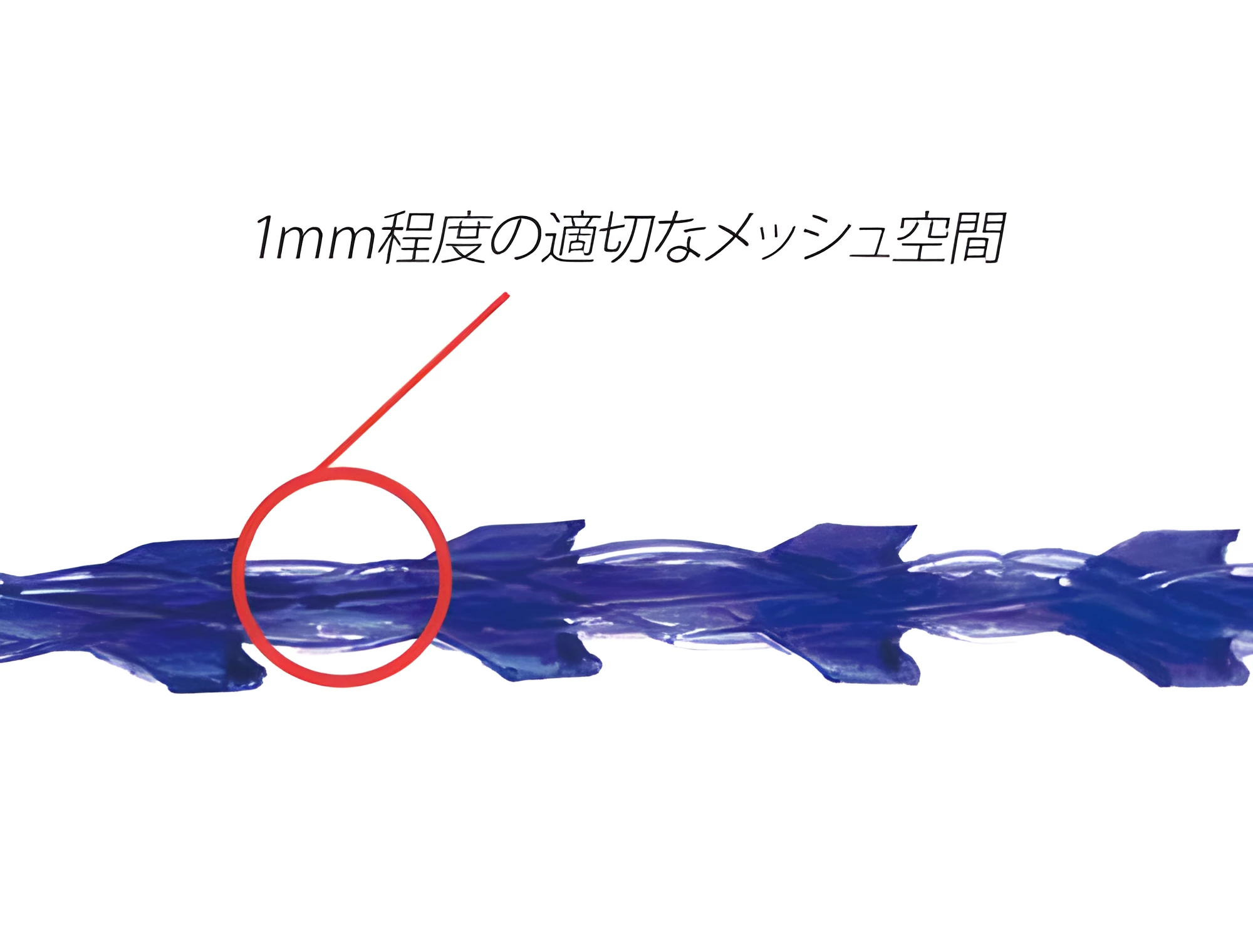 糸の詳細画像